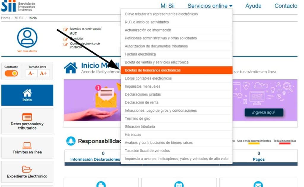 como emitir una boleta electronica de honorarios